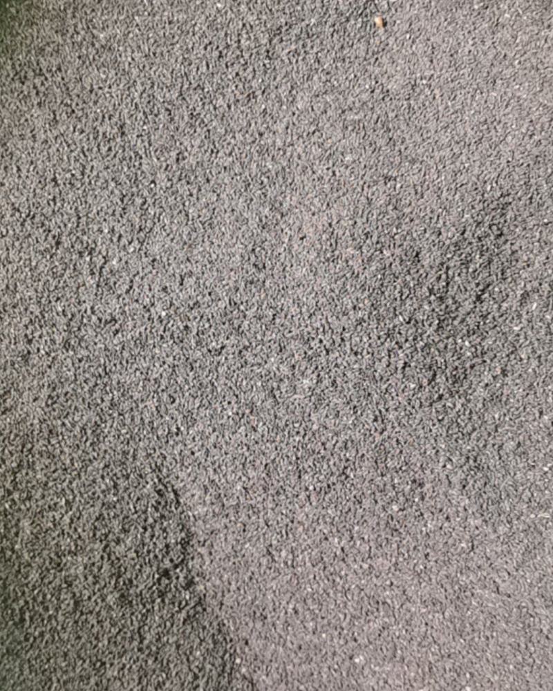 车前草籽