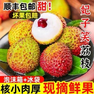 正宗广东妃子笑荔枝新鲜妃子笑现货新鲜当季水果整箱电商一件代发
