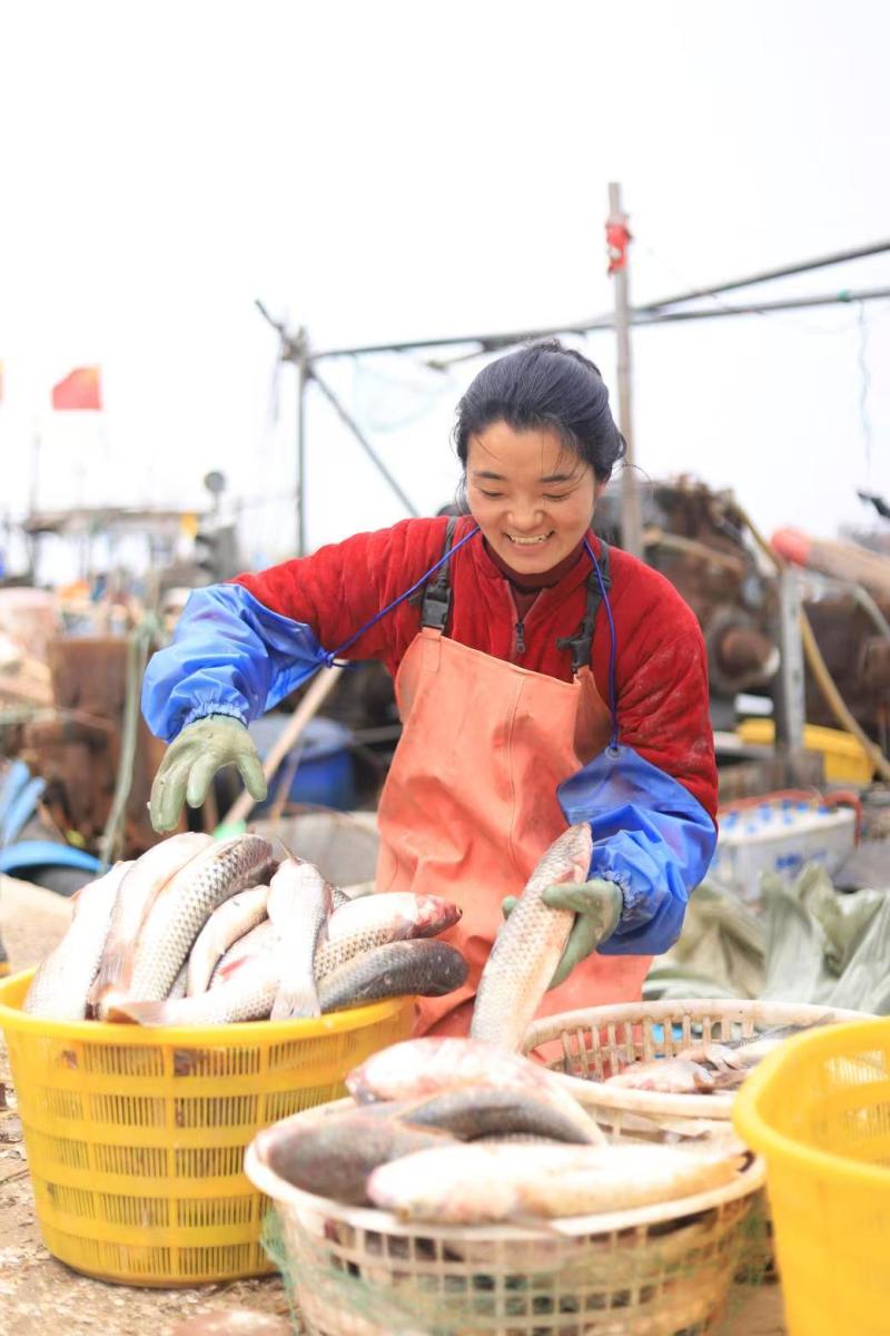 山东渤海湾海鲜
