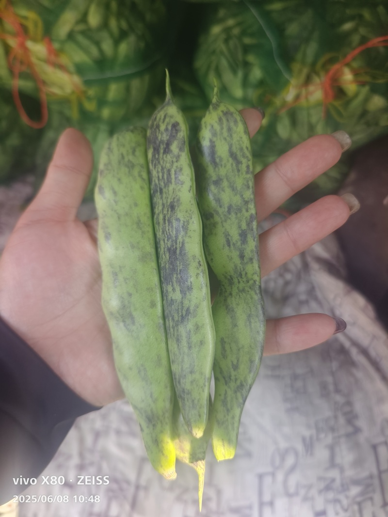 各种豆角蔬菜