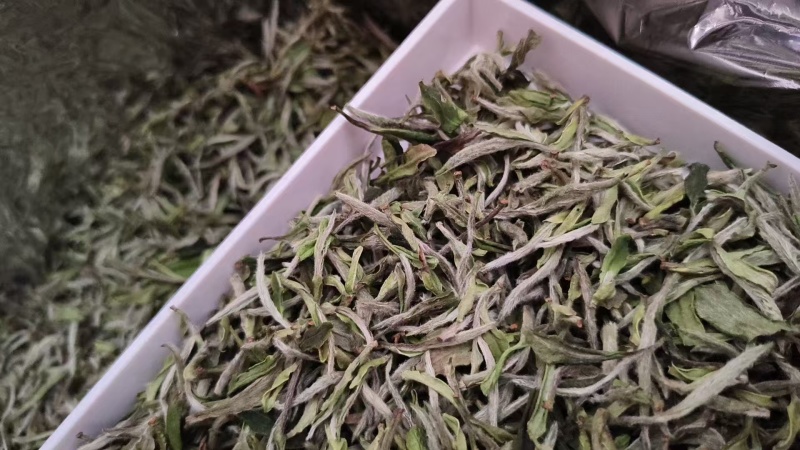 白茶