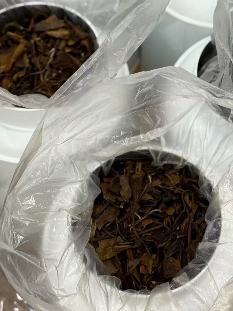 白茶
