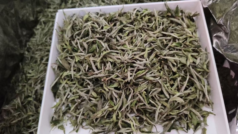白茶