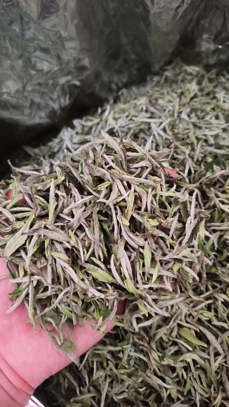 白茶