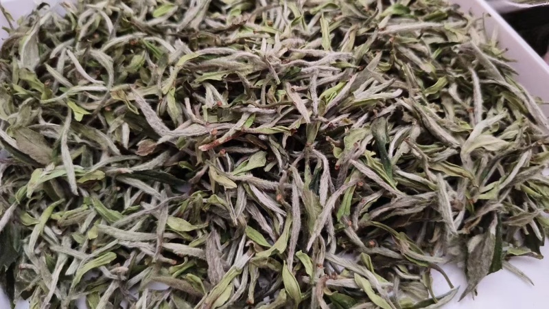 白茶
