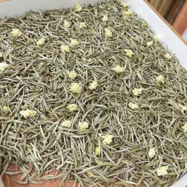 茉莉花茶