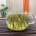 茉莉花茶