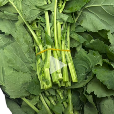 狮山油菜薹