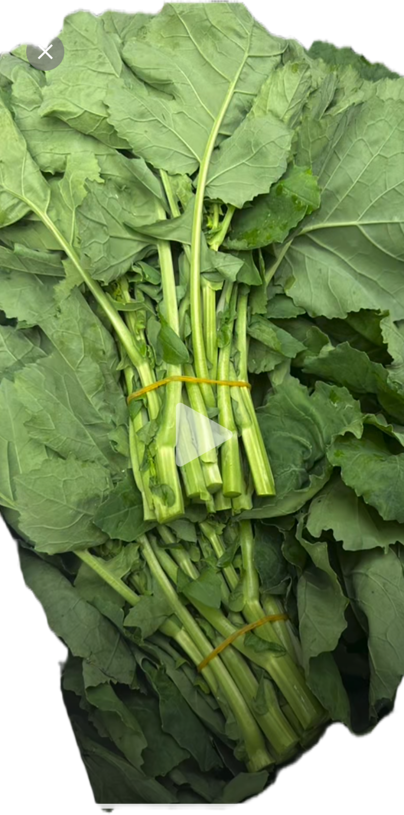 狮山油菜薹