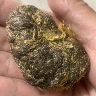 羊结石