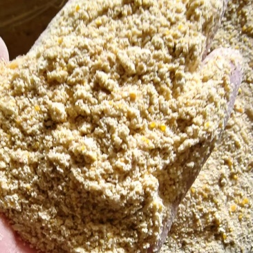 玉米次粉