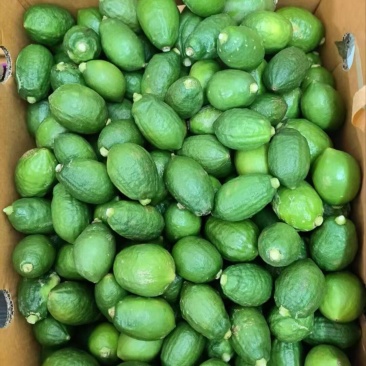 香水柠檬