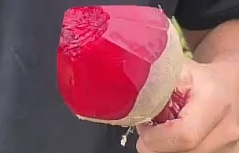 甜菜根