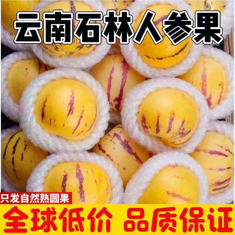 云南人参果各平台一件代发