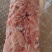 碎肉齐全二八。一九。三七