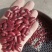 商都县红芸豆，产地直销，大量批发