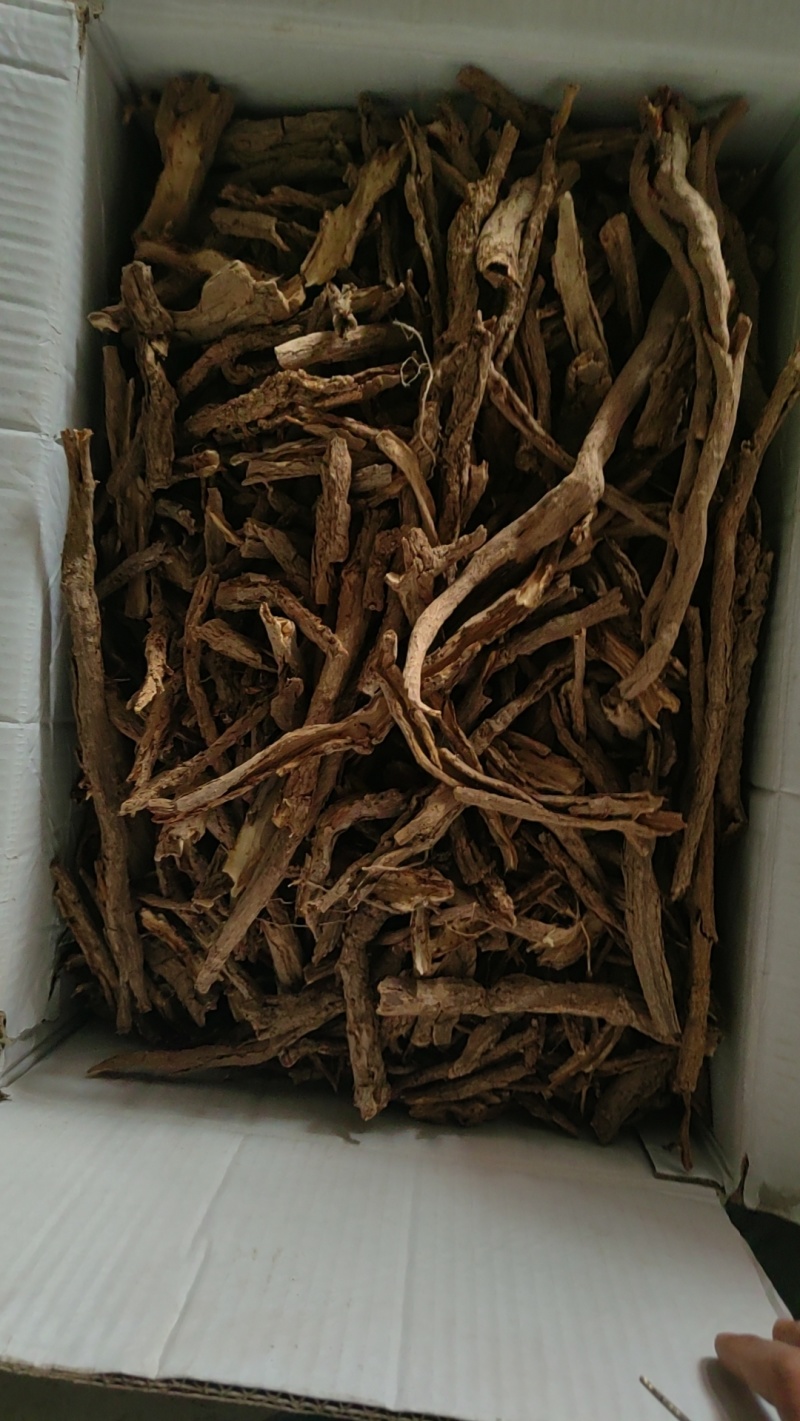 甘肃地产中药材，中药材种籽