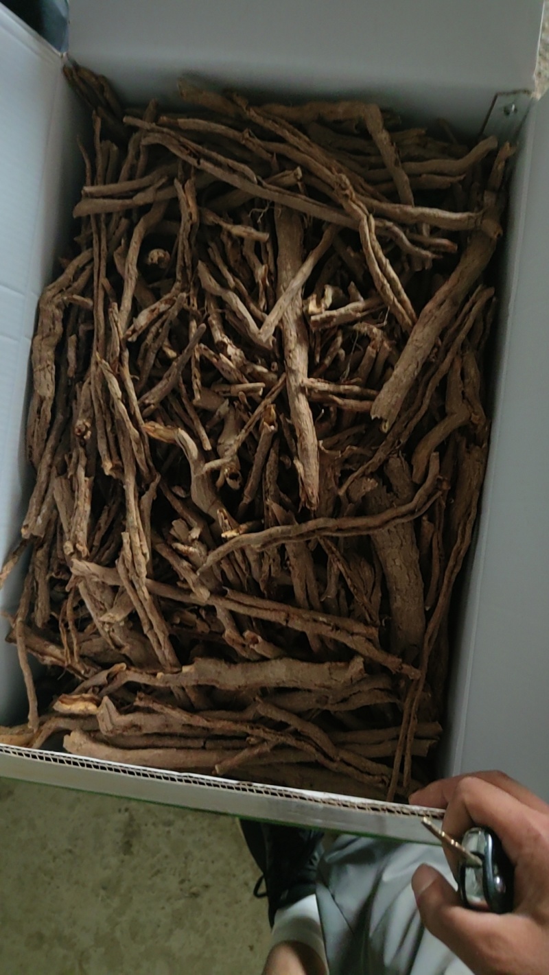 甘肃地产中药材，中药材种籽