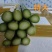 芦笋