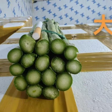 芦笋
