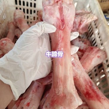 牛副产品