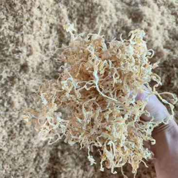白木耳丝量大新货全线产品价格下调走量，品质保证