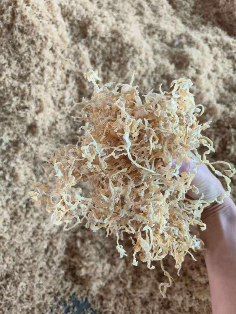 白木耳丝量大新货全线产品价格下调走量，品质保证