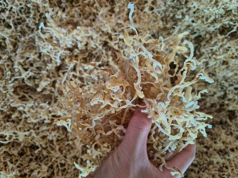 白木耳丝量大新货全线产品价格下调走量，品质保证