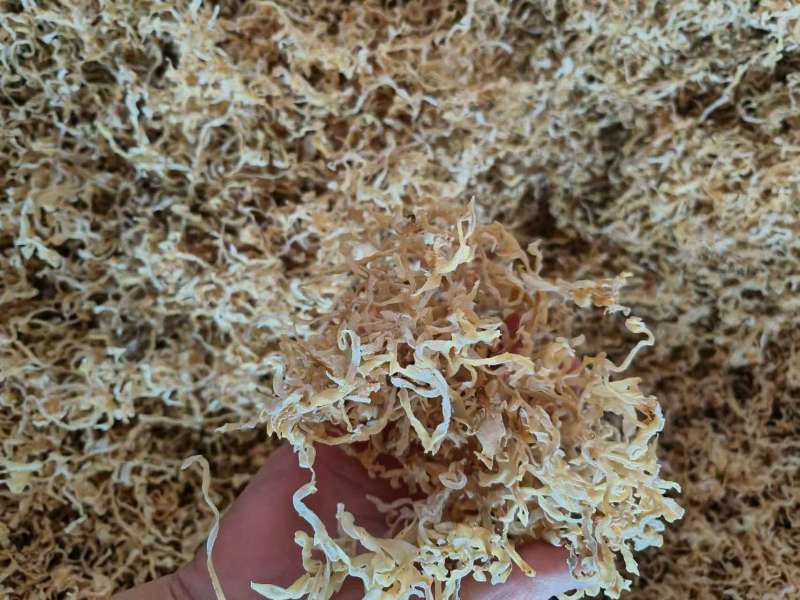 白木耳丝量大新货全线产品价格下调走量，品质保证