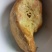 鸡宝