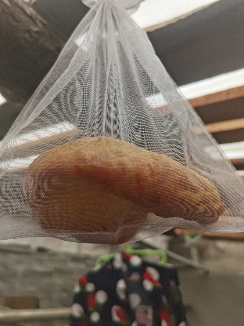 鸡宝