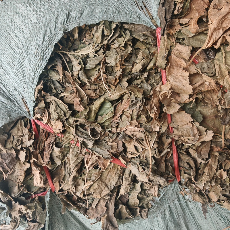 霜后晒干的桑叶，有2千多斤，量大从优！