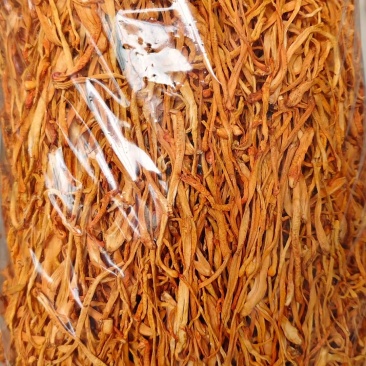 虫草花
