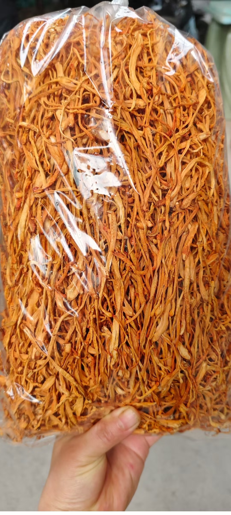 虫草花