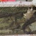 野生甲鱼