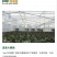 pep利得膜可立富农膜防滴膜避雨栽培单栋联栋大棚膜