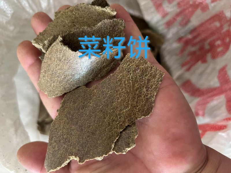 菜籽饼