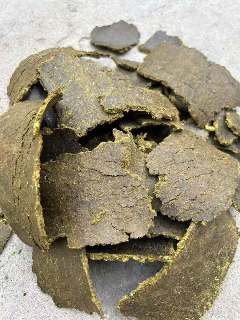 饼肥棉籽饼上地专用