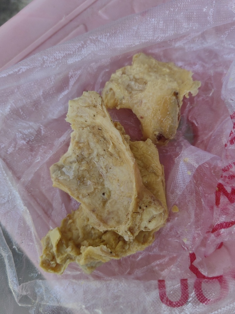 鸡宝