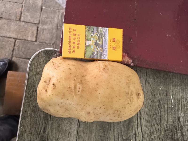 沃土五号土豆，三两起步硬同货