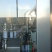 柿子醋半成品