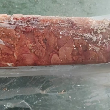 大肉食鸡肝