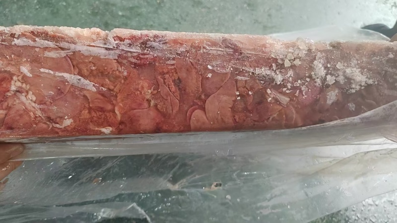 大肉食鸡肝