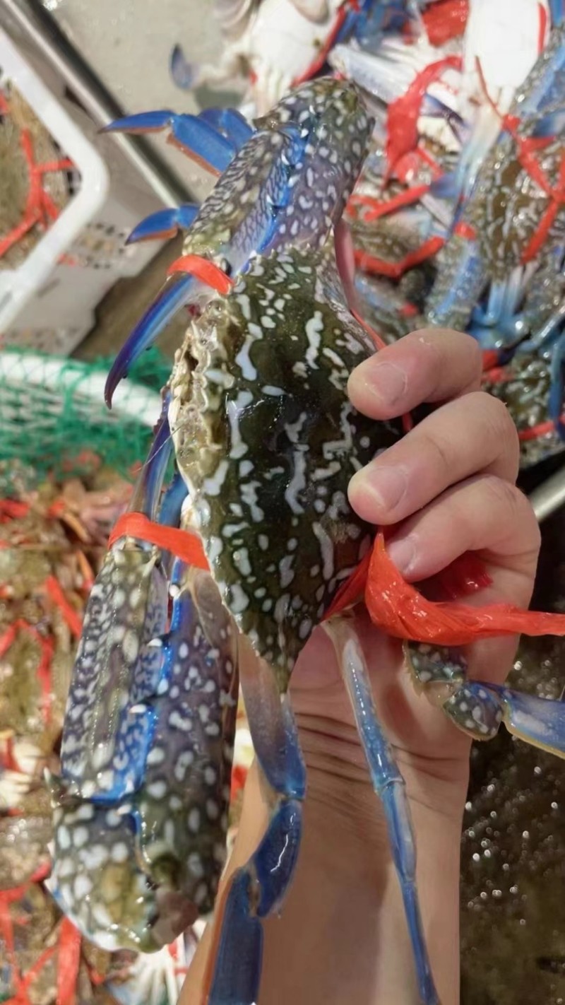花蟹