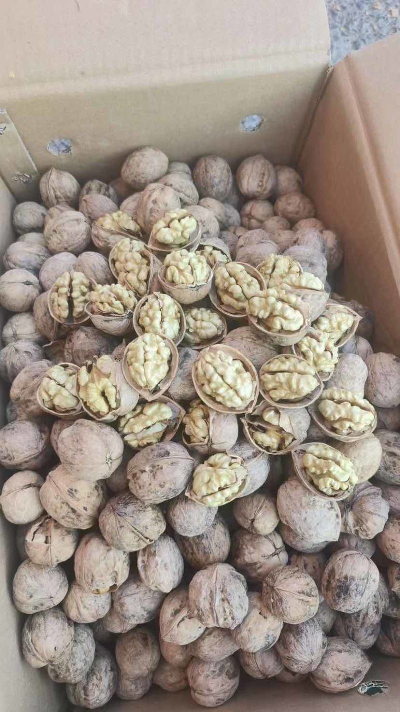 核桃，核桃仁