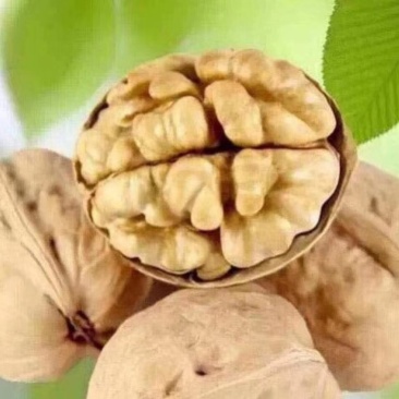 核桃，核桃仁