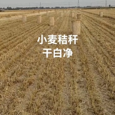 玉米秸秆小麦秸秆牧草🌿