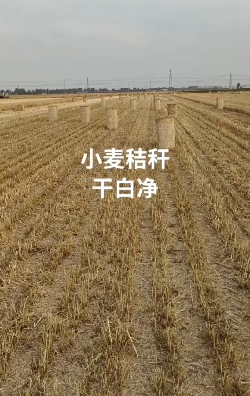 玉米秸秆小麦秸秆牧草🌿
