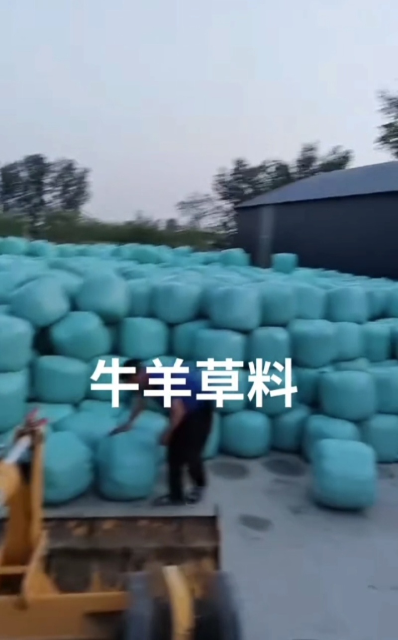 玉米秸秆小麦秸秆牧草🌿