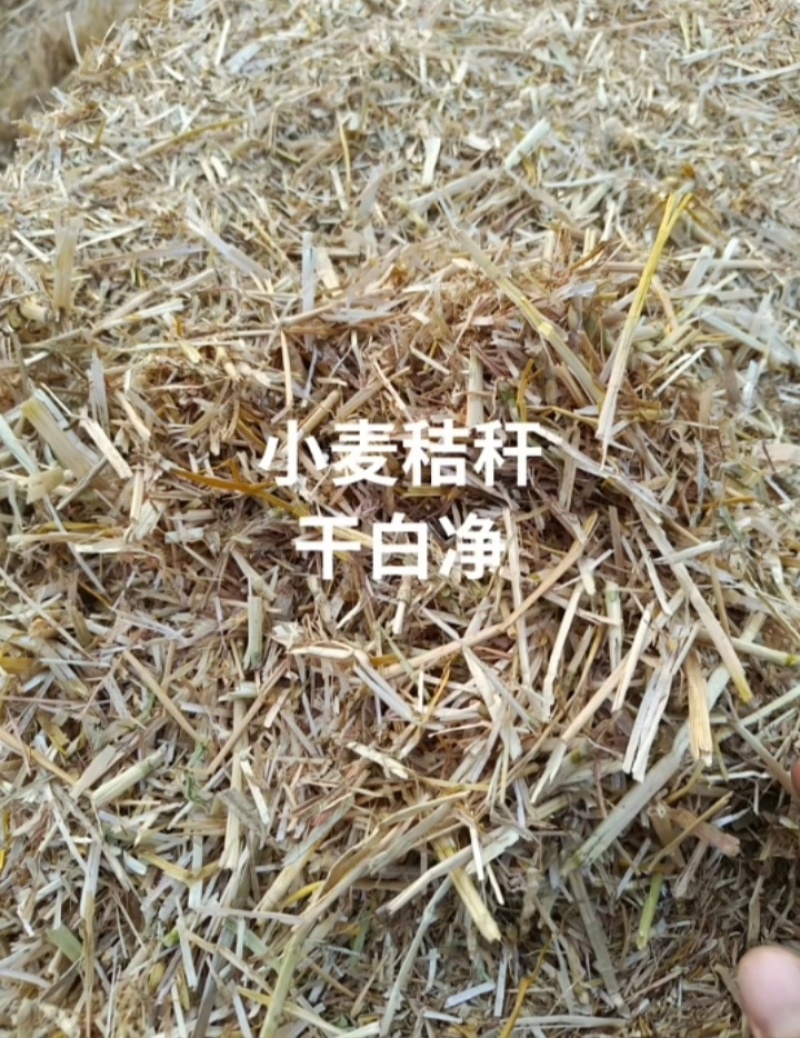 玉米秸秆小麦秸秆牧草🌿